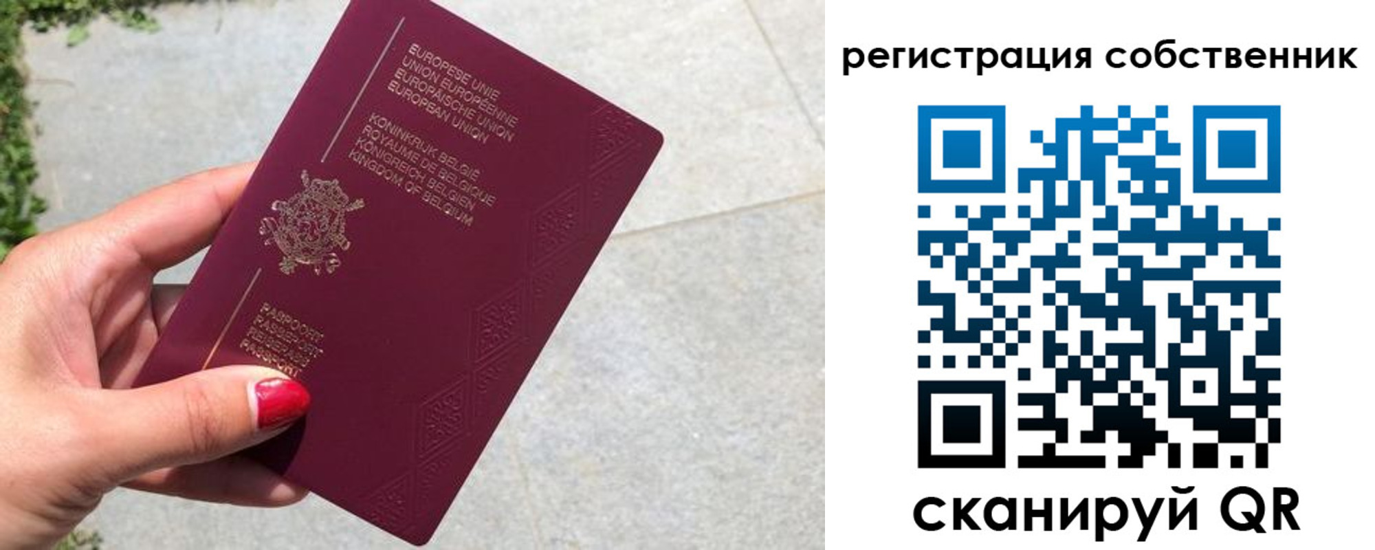 временная регистрация поиск в Красном Сулине
